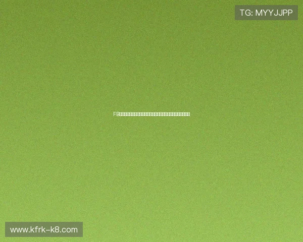 FB体育网页版安全保障措施详解确保用户资金与个人信息双重安全